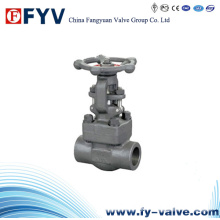 Forged Steel Socket Weld Gate Valve